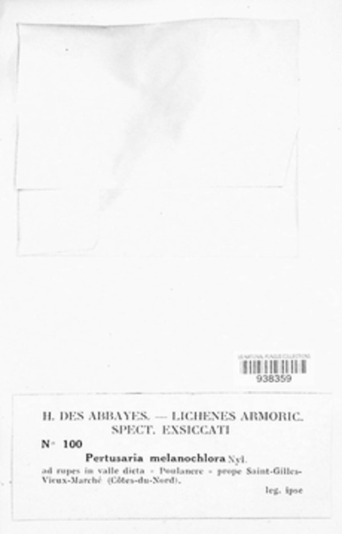 Lepra melanochlora image